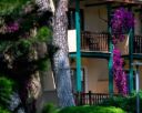 Hotel TURQUOISE 5* - Side, Turcia.