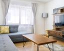 Apartament AKI GRAY APARTMENT 3* - Brasov, Romania. (Pet Friendly)