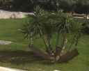 PARADISOS Apartments 3* - Halkidiki Kassandra, Grecia.
