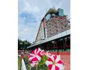 Hotel PIATRA MARE 4* - Poiana Brasov, Romania.