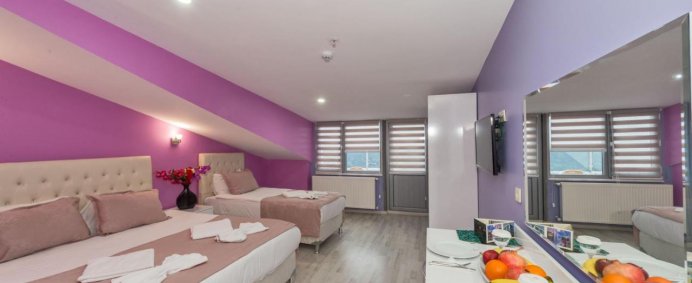 Hotel THE OTTOMAN CITY 4* - Istanbul, Turcia. - Photo 9