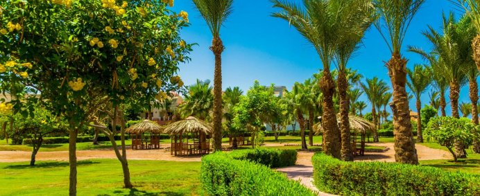 Hotel SERENITY ALPHA BEACH (Ex. SERENITY MAKADI BEACH) 5* - Makadi Bay, Egipt. - Photo 3