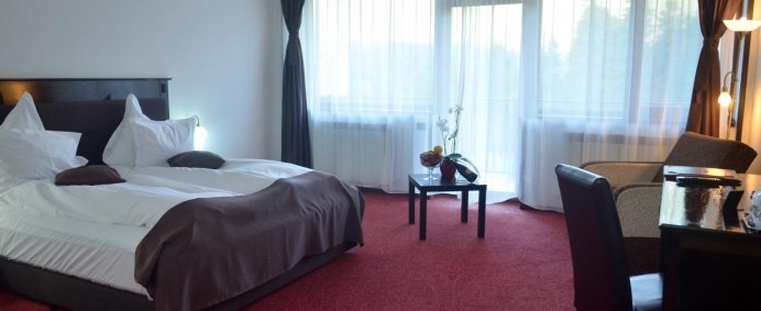 Hotel CUMPATU 4* - Sinaia, Romania. - Photo 9