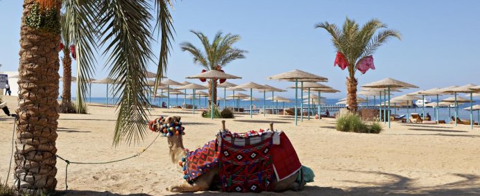 Hotel THE THREE CORNERS SUNNY BEACH RESORT 4* - Hurghada, Egipt. - Photo 7