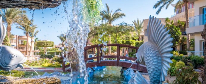 Hotel SEAGULL RESORT 4* - Hurghada, Egipt. - Photo 4