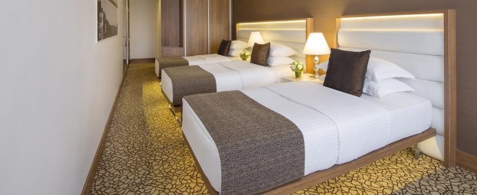 Hotel RICHMOND 4* - Istanbul, Turcia. - Photo 10