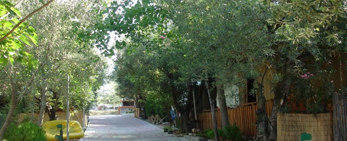 Aparthotel KOUYONI BUNGALOWS APARTMENTS 2* - Halkidiki Sithonia, Grecia. - Photo 13