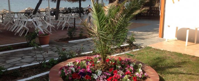 Hotel PORTO MATINA 3* - Halkidiki Sithonia, Grecia. - Photo 11
