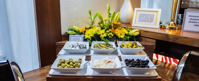 Hotel SONATA 4* - Praga, Cehia. - Photo 8