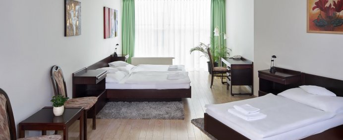 Hotel ANKORA 3* - Praga, Cehia. - Photo 12