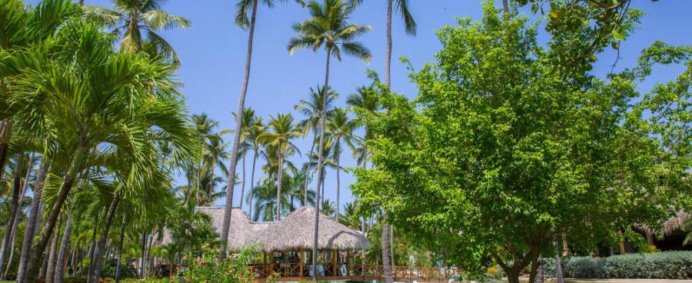 Hotel IMPRESSIVE RESORT & SPA 5* - Punta Cana, Rep. Dominicana. - Photo 17