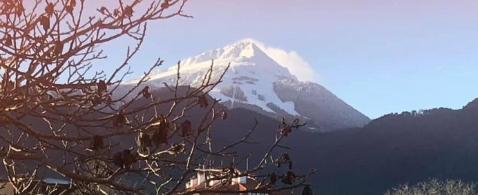 Hotel Boutique CAMPANELLA 3* - Bansko, Bulgaria. - Photo 1