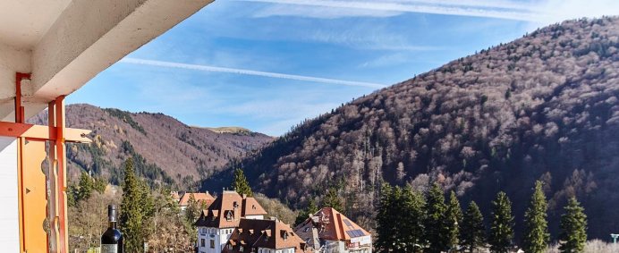 Hotel RINA SINAIA 4* - Sinaia, Romania. - Photo 9