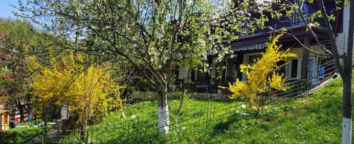Pensiunea IOANA 2* - Bran, Romania. - Photo 4