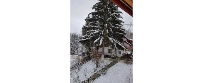 Pensiunea IOANA 2* - Bran, Romania. - Photo 8
