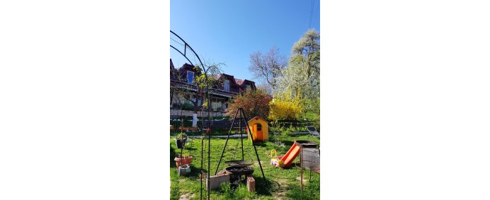Pensiunea IOANA 2* - Bran, Romania. - Photo 12