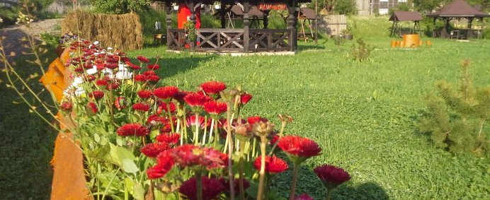 Pensiunea LA BUCOVINEANCA 4* - Bucovina (Vama Suceava), Romania. - Photo 14