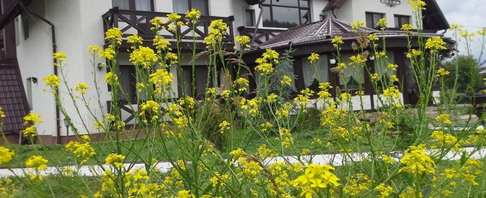 Pensiunea LA BUCOVINEANCA 4* - Bucovina (Vama Suceava), Romania. - Photo 15