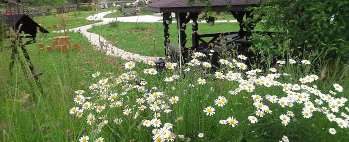 Pensiunea LA BUCOVINEANCA 4* - Bucovina (Vama Suceava), Romania. - Photo 16