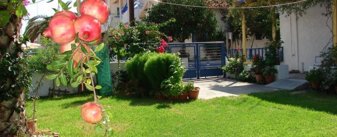 Aparthotel JOANNA APARTMENTS 3* - Creta, Grecia. - Photo 8