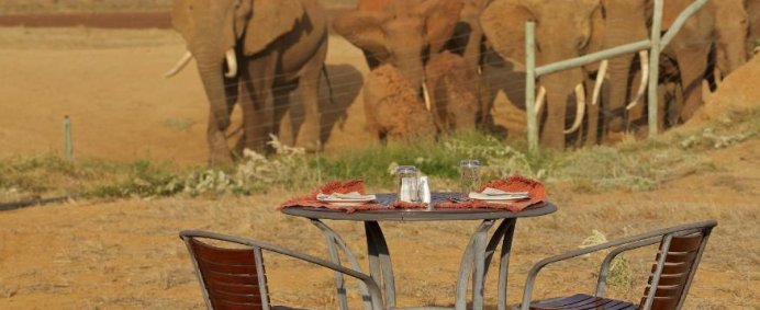Hotel ASHNIL ARUBA LODGE 4* - Tsavo East, Kenya. - Photo 9
