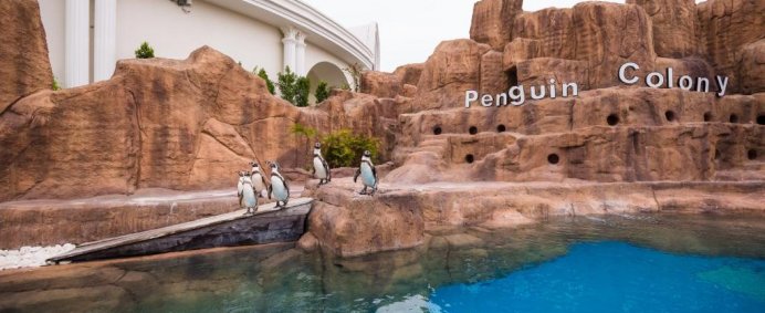 Hotel THE LAND OF LEGENDS KINGDOM HOTELS 5* DeLuxe - Belek, Turcia. - Photo 12