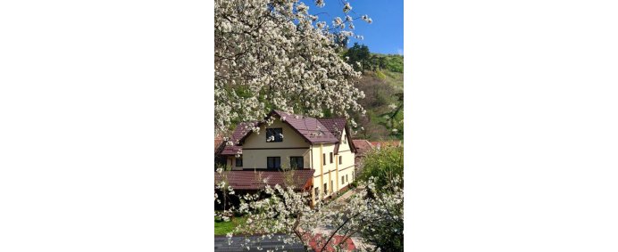 Pensiunea DOMNESCU 3* - Saliste (Jud. Sibiu), Romania. - Photo 1