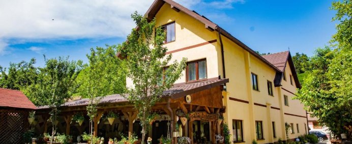 Pensiunea DOMNESCU 3* - Saliste (Jud. Sibiu), Romania. - Photo 10