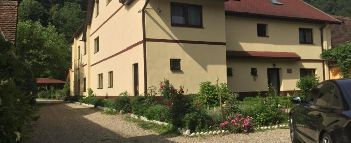 Pensiunea DOMNESCU 3* - Saliste (Jud. Sibiu), Romania. - Photo 12