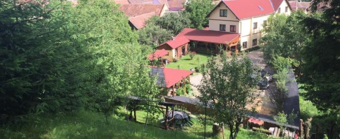 Pensiunea DOMNESCU 3* - Saliste (Jud. Sibiu), Romania. - Photo 13
