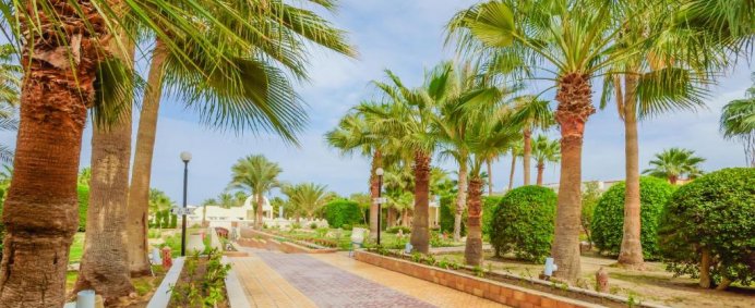 Hotel ROYAL STAR EMPIRE BEACH RESORT 4* - Hurghada, Egipt. - Photo 12