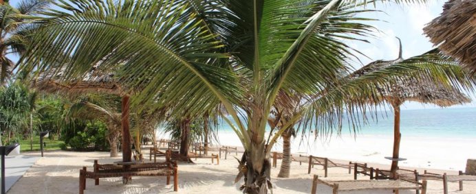Complex UROA BAY BEACH 4* - Zanzibar, Tanzania. (PET FRIENDLY) - Photo 7