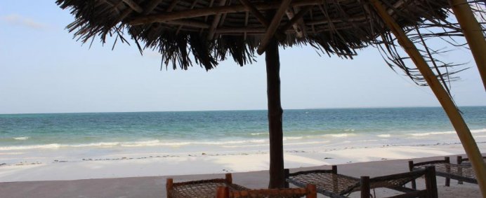 Complex UROA BAY BEACH 4* - Zanzibar, Tanzania. (PET FRIENDLY) - Photo 11
