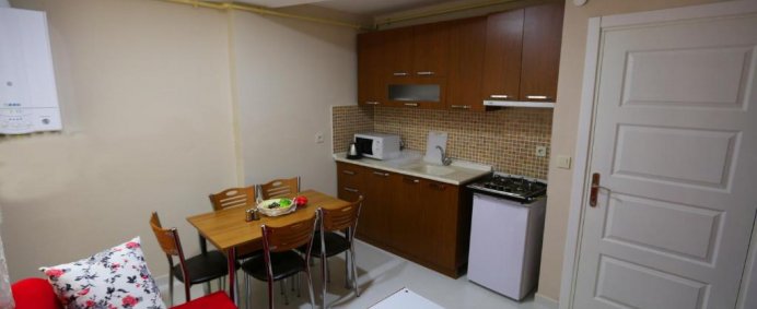 Aparthotel ISTANBUL FAMILY APARTMENTS 3* - Istanbul, Turcia. - Photo 7