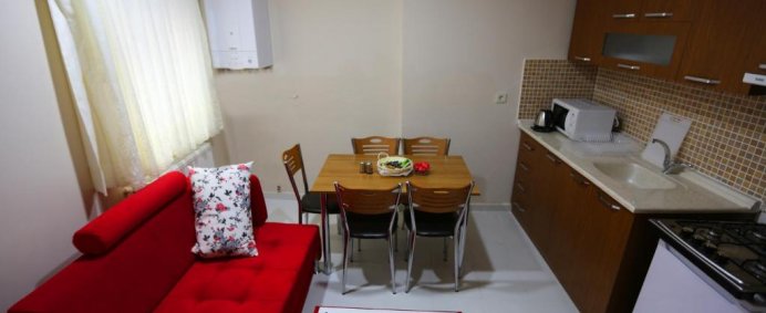 Aparthotel ISTANBUL FAMILY APARTMENTS 3* - Istanbul, Turcia. - Photo 9