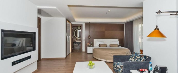Hotel ISTANBUL DORA 4* - Istanbul, Turcia. - Photo 2