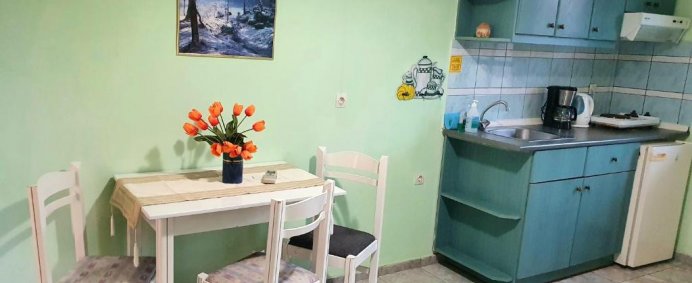Aparthotel DIOSKOUROI APARTMENTS 3* - Creta (Agia Pelagia), Grecia. (PET FRIENDLY) - Photo 14