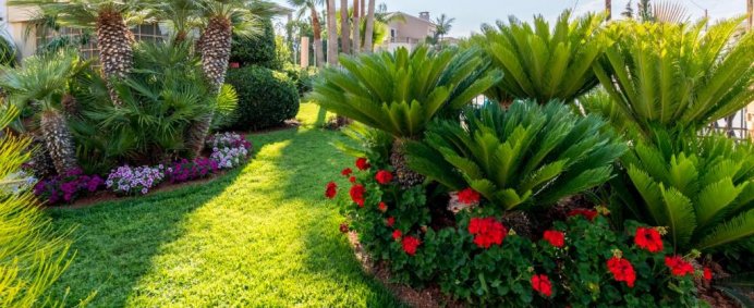 Hotel DEDALOS 3* - Creta (Malia), Grecia. (PET FRIENDLY) - Photo 8