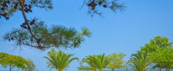 Hotel PRINCESS CALYPSO 3* (ADULT ONLY) - Thassos, Grecia - Photo 2