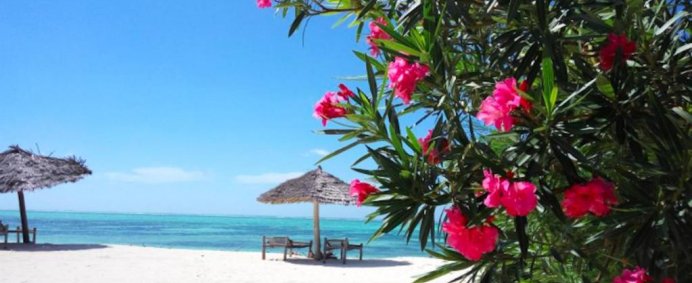 Hotel NEST STYLE BEACH HOTEL ZANZIBAR 4* - Zanzibar, Tanzania. - Photo 13