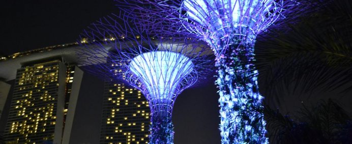 Hotel QUINCY 5* - Singapore. - Photo 11