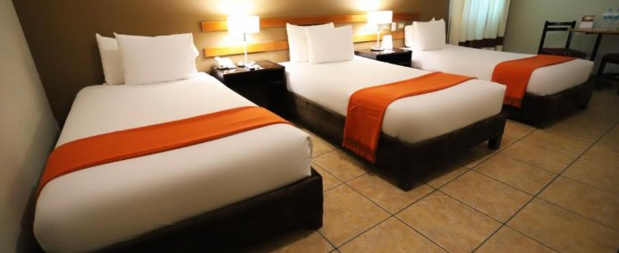 Hotel CASA ANDINA STANDARD 3* - Nazca, Peru. (PET FRIENDLY) - Photo 14