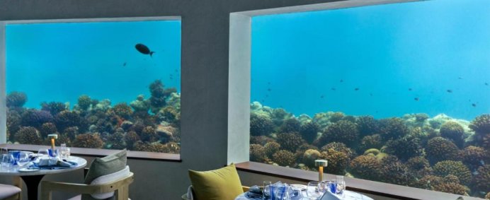 Complex OBLU XPERIENCE AILAFUSHI 4* - North Male, Maldive. - Photo 8