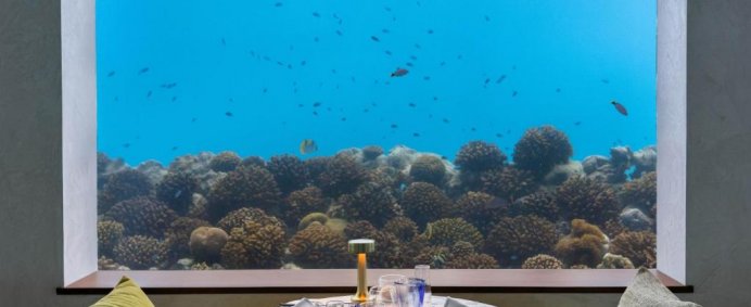 Complex OBLU XPERIENCE AILAFUSHI 4* - North Male, Maldive. - Photo 10