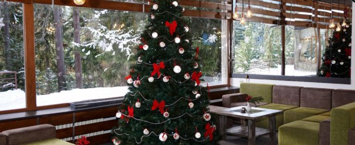 Hotel BOR 3* - Borovets, Bulgaria. - Photo 3