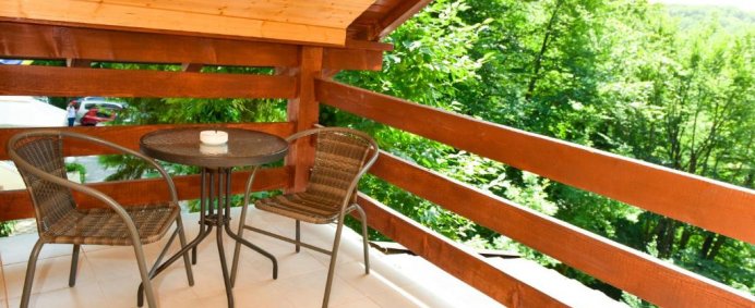 Vila CRIZANTEMA 3* - Baile Govora, Romania (fosta resedinta a lui N. Ceausescu) - Photo 12