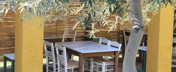 Hotel DESPOTIKO APT. HOTEL & SUITES 3* - Halkidiki Sithonia, Grecia. - Photo 7
