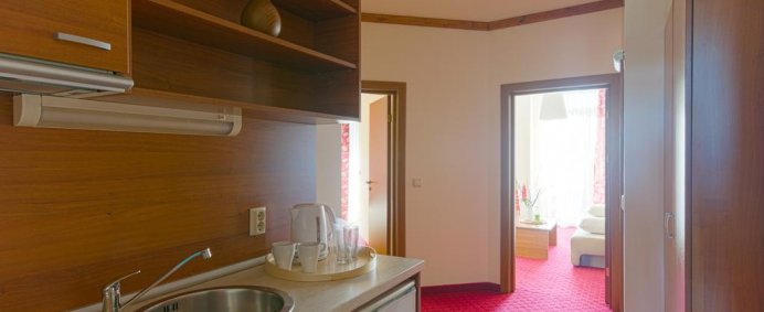 Aparthotel VIHREN PALACE 4* - Bansko, Bulgaria. - Photo 4