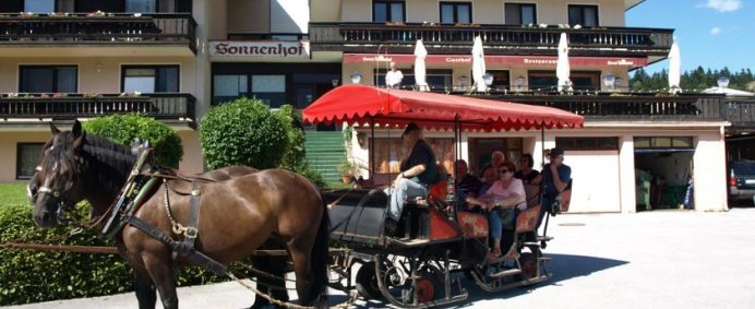 Pensiunea SONNENHOF 3* - Abtenau, Austria. - Photo 1