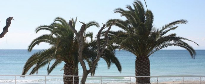 Hotel AEGEAN BLUE BEACH 4* - Halkidiki, Nea Kalikratia, Grecia - Photo 13